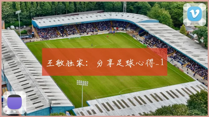 王敏独家：分享足球心得_1