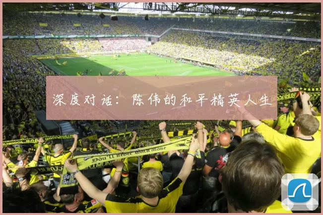 深度对话：陈伟的和平精英人生