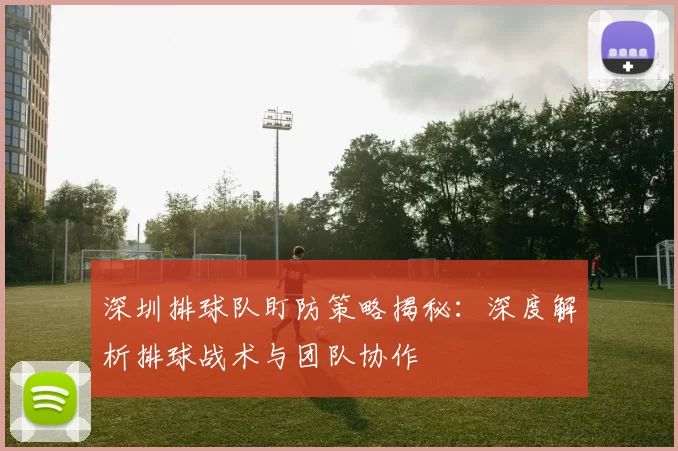 深圳排球队盯防策略揭秘：深度解析排球战术与团队协作