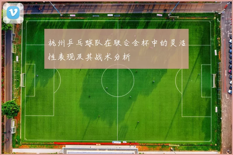 杭州乒乓球队在联合会杯中的灵活性表现及其战术分析