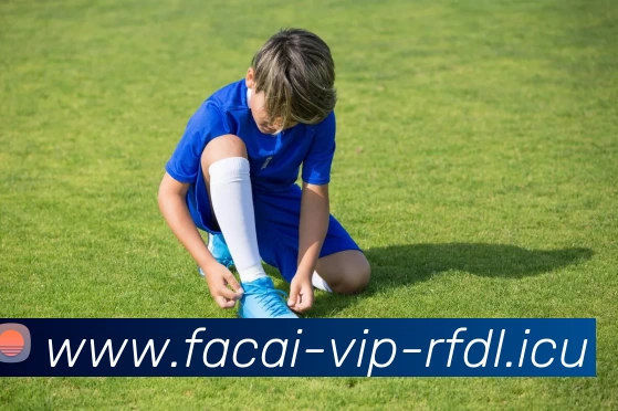 星空体育平台生态图