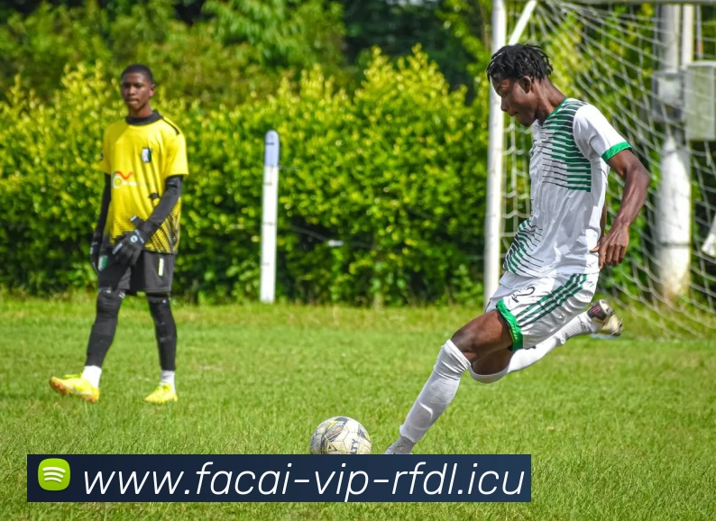 星空体育全站App